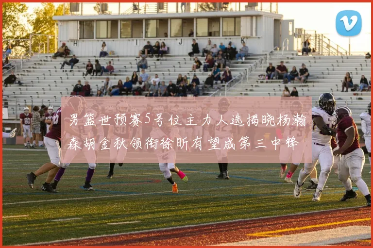 男篮世预赛5号位主力人选揭晓杨瀚森胡金秋领衔徐昕有望成第三中锋